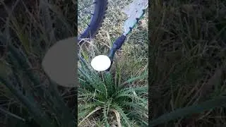weed(cardilla) robot control/OAK-D and OpenCV, field view