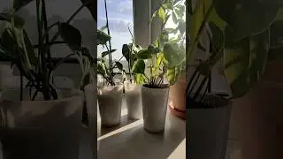 😱Находка из  Fix Price за 9 рублей! 🤍 