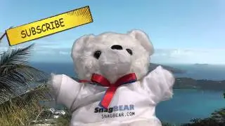 Welcome to SnagBear