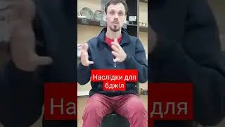 Наслідки для бджільництва #пасіка #пчеловодство #бджільництво #beekeeping #длялюдей #beekeeper