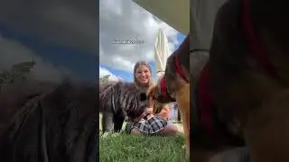 einfach einen löwen als haustier haben 🥹😂