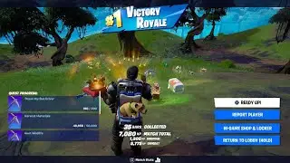 Another Victory Royale