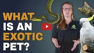 What is an 'exotic' animal?