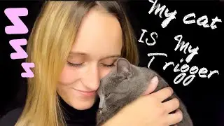 АСМР МЫ ПОМОЖЕМ ТЕБЕ УСНУТЬ 99,99999%🐱 asmr cat 🐱