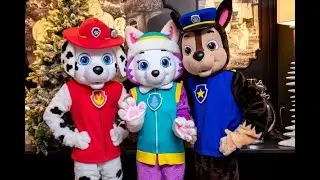 Выездная программа "Щенячий патруль"