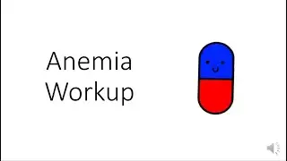 Anemia Workup Algorithm Hospital Medicine