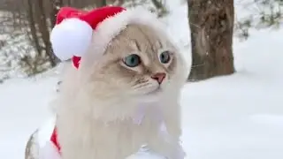 Happy New Year 2023🎄❄