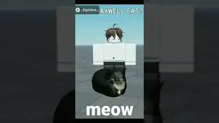 Maxwell cat and lin dance each other||changed||
