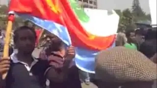 Eritreans World wide Occupying the Embassy of PFDJ and Demonstrations FORTO 2013