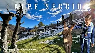 Sentiero dell’Arte, giro ad anello tra frazioni e alpeggi - VAL SERMENZA