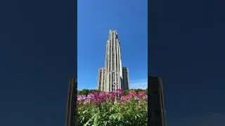Campus in the summertime!  #universityofpittsburgh