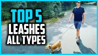 ✅Top 5 Best Leashes for All Types of Dogs in 2024