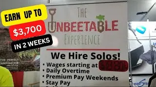 Earn Up To $3,700 In 2 Weeks!! A Quick Emergency Fund!!