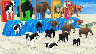 Paint & Animals Cartoon Elephant,Cow,Tiger,Gorilla Wild Animals Choose The Right Mystery Door !!!