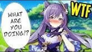 Genshin Impact in a NUTSHELL MEMES
