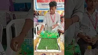 Science Project at Coromandel 