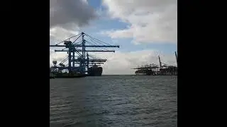 Морские контейнеры. Отправка грузов из России.