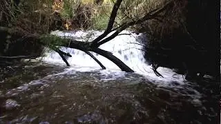 cascada colico norte