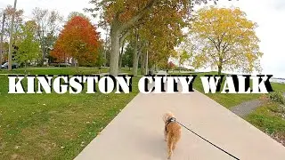 加拿大安省 京士頓秋天漫步 26 minutes Kingston |  City Walk | Downtown to Breakwater Park #gopro #hd #dogwalk