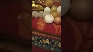 день шлепы (сезон 2 серия 2) 