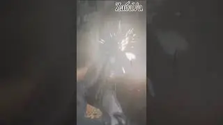СОБАЧЕК ЖАЛКО 🥴 Shorts