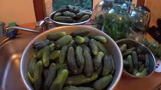 НАСТОЯЩИЕ КВАШЕННЫЕ ОГУРЦЫ НА ЗИМУ.
