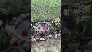 Мини прудик