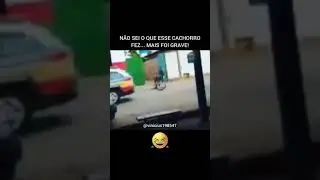 #policia #cao #pets