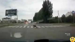 Подборка смешных приколов №1