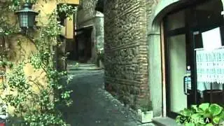 NEMI