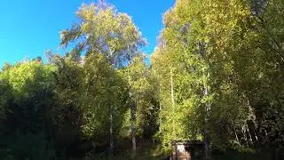 Сентябрьский день в Бурятии Усть Баргузин Байкал