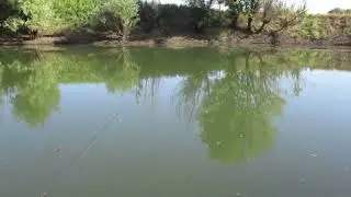 Рыбалка Таловый