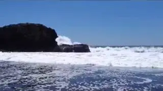 Puro Surf report El Sunzal