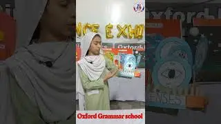 5 senses | Oxford Grammar school Shahdara town campus