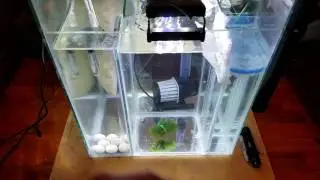 Custom Biocube 29 Sump & Tank Update (Pt 3)