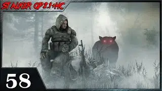 Прохождение  STALKER Народная Солянка + ОП 2.1 - Поиск металлоискателя и Схрона в Забытом Лесу#58.