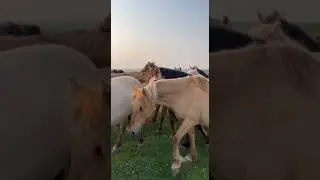 Такую красоту должен увидеть каждый