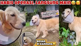 OPERASI SNOWA BERJALAN LANCAR, LANGSUNG PERGI MAIN 😅🥰