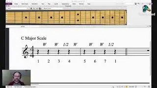 The Major Scale Explained For Guitarists