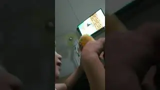 SpongBob Fart to Alvis🤣👆