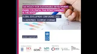 Data, tax policy-making and the SDGs (UNDP)