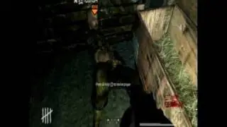 Der riese multiple gun glitch