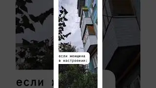 поздравь меня, я в настроении! #shorts когда проснулась в настроении и готова горы свернуть!