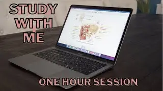 ONE HOUR STUDY WITH ME  [Chillhop/ lofi hiphop]