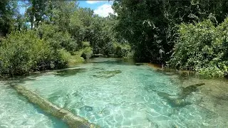 Canoeing from King's Landing to Kelly State Park