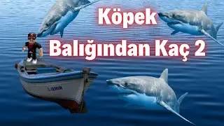 köpek balığından kaç 2