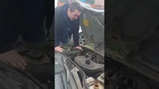 Славута закипела, забурлила
