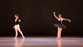 П. И. Чайковский, адажио из балета 