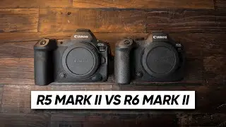 Canon R5 Mark II VS R6 Mark II - Which Should You Buy?