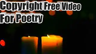 Free Copyright Video For TikTok Shayri |free stock video